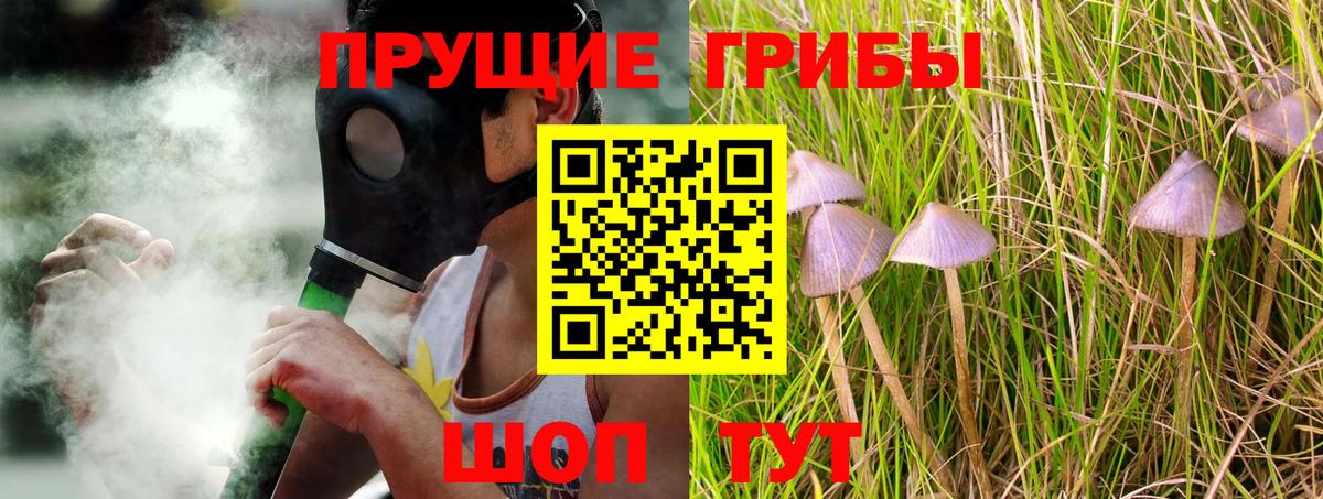 Галлюциногенные грибы ЛСД Саранск